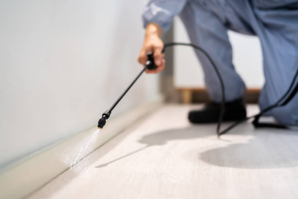 Licensed Fumigation Services service in Nutter Fort, WV - Nex Pest Control