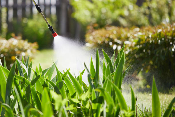24/7 Emergency Fumigation Services experts in Nutter Fort, WV