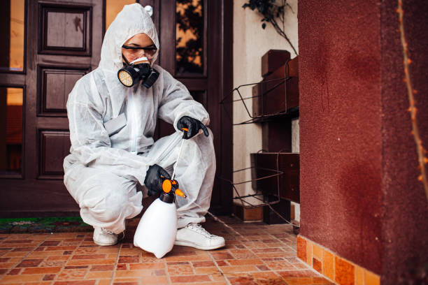 Reliable Fumigation Services contractor in Nutter Fort, WV by Nex Pest Control