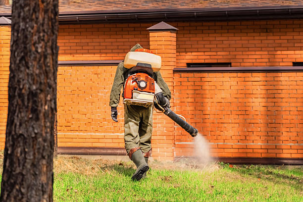 Trusted Cockroach Control service in Nutter Fort, WV - Nex Pest Control